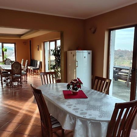 Vis Pension Viile Satu Mare エクステリア 写真