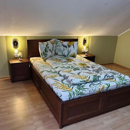 Vis Pension Viile Satu Mare エクステリア 写真