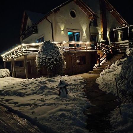 Vis Pension Viile Satu Mare エクステリア 写真