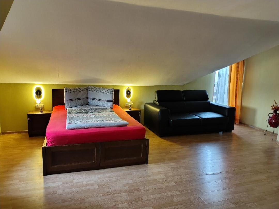 Vis Pension Viile Satu Mare エクステリア 写真