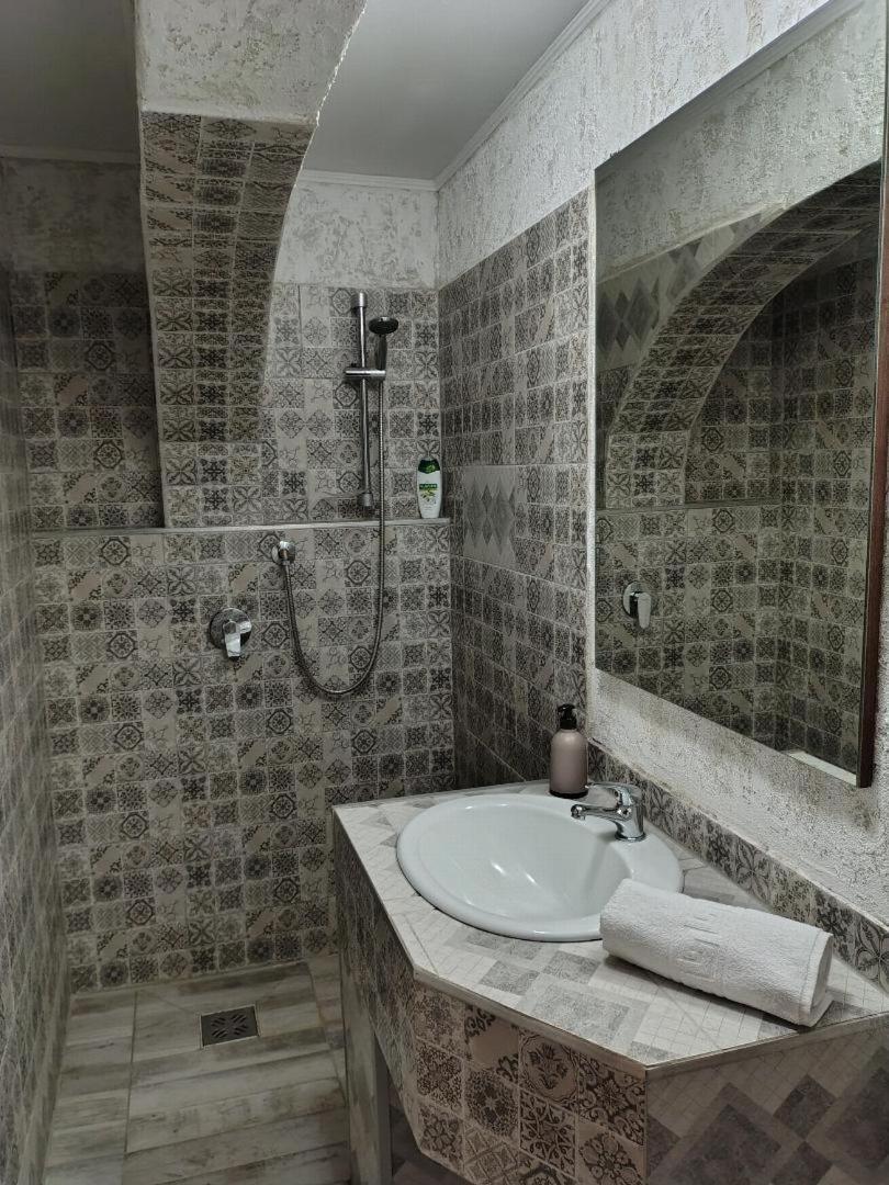 Vis Pension Viile Satu Mare エクステリア 写真