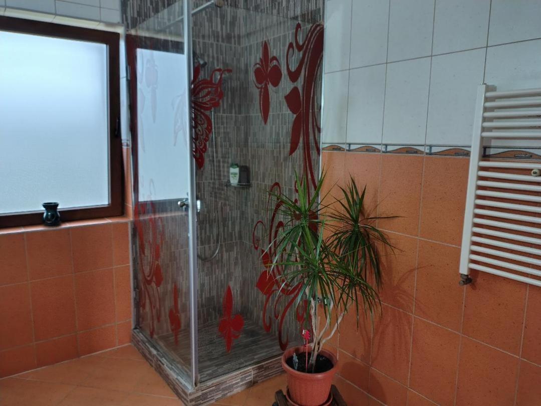 Vis Pension Viile Satu Mare エクステリア 写真