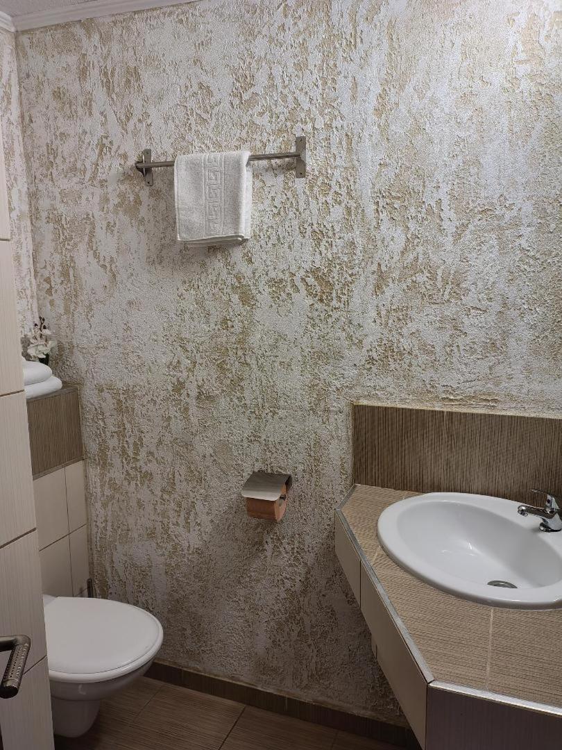 Vis Pension Viile Satu Mare エクステリア 写真