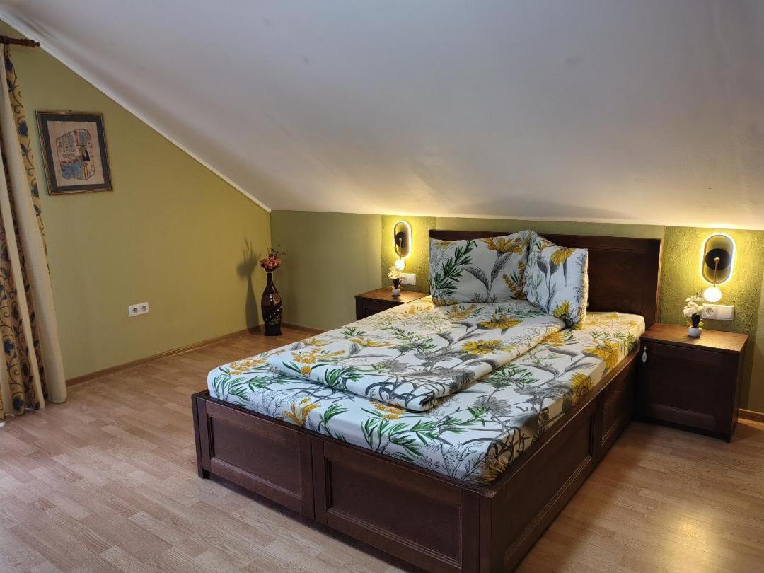 Vis Pension Viile Satu Mare エクステリア 写真