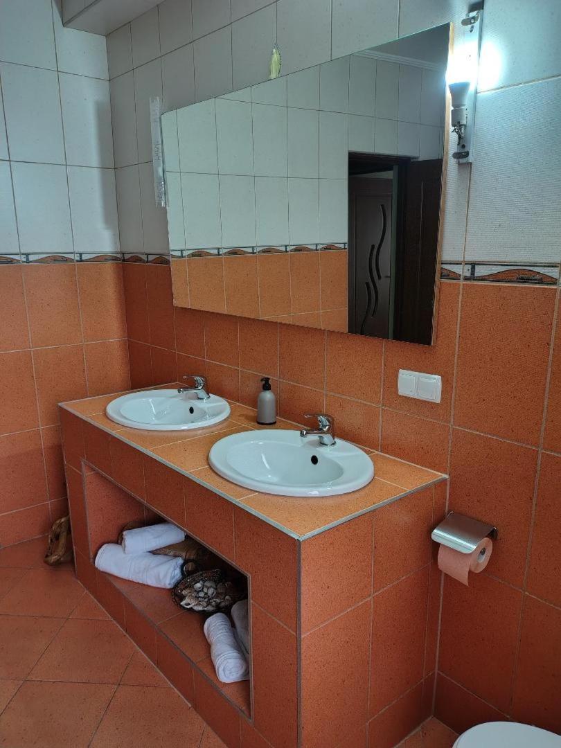Vis Pension Viile Satu Mare エクステリア 写真