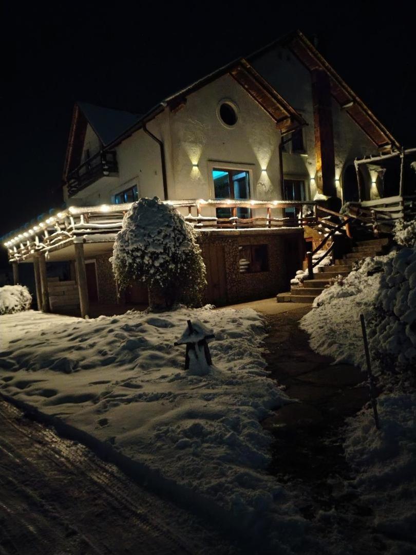 Vis Pension Viile Satu Mare エクステリア 写真