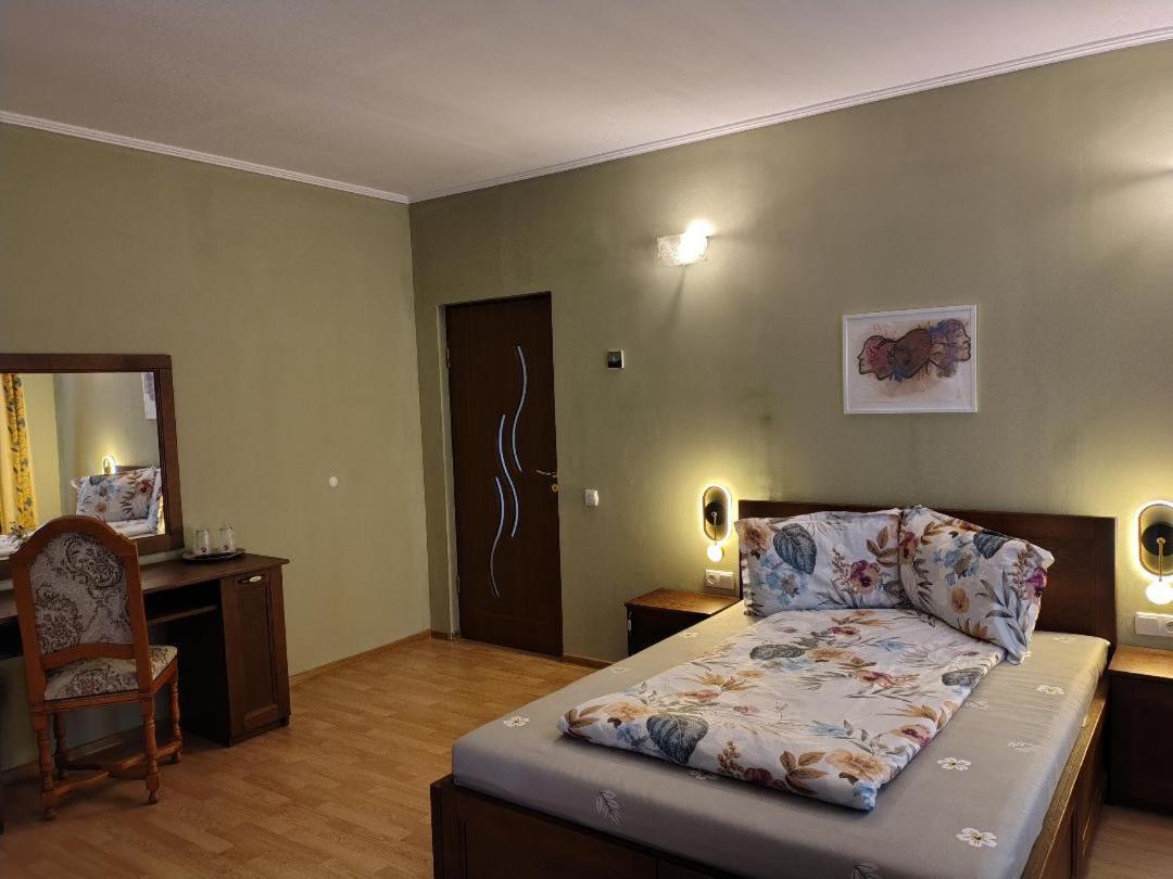 Vis Pension Viile Satu Mare エクステリア 写真