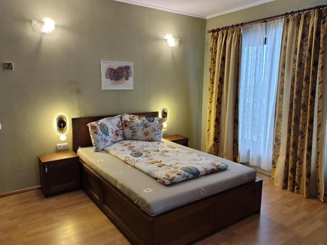 Vis Pension Viile Satu Mare エクステリア 写真