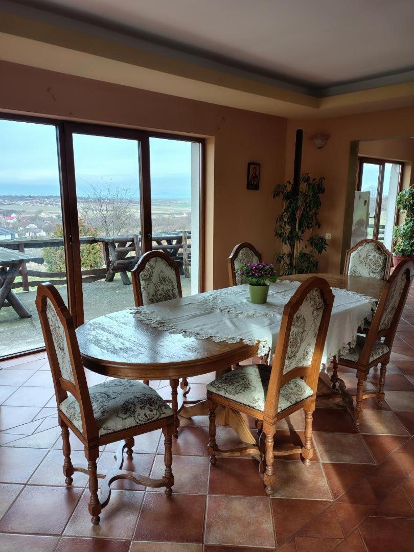 Vis Pension Viile Satu Mare エクステリア 写真