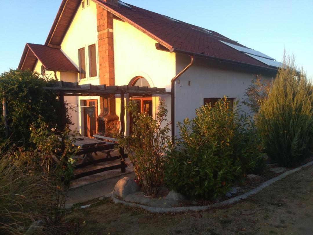 Vis Pension Viile Satu Mare エクステリア 写真