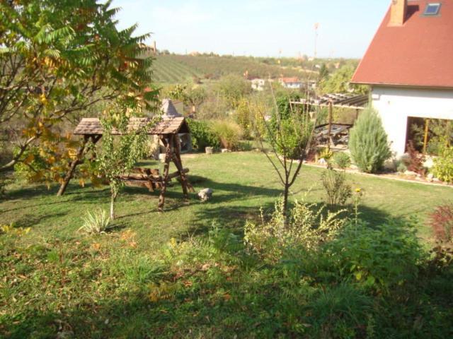Vis Pension Viile Satu Mare エクステリア 写真