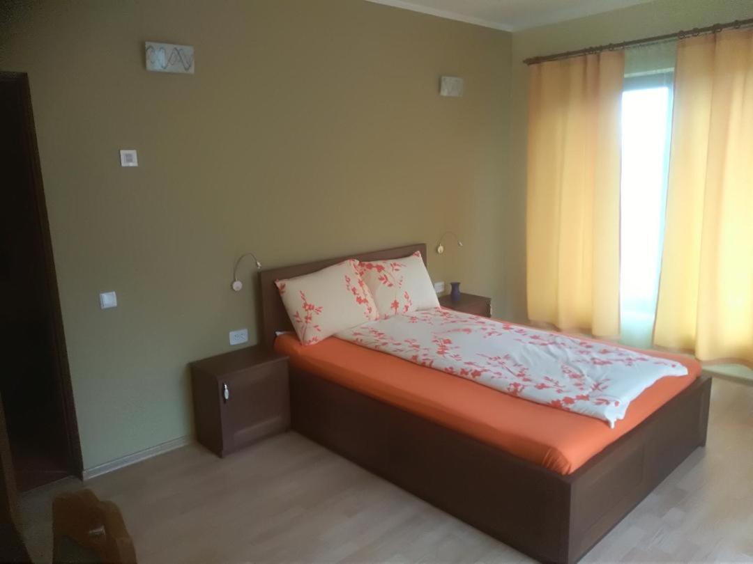 Vis Pension Viile Satu Mare エクステリア 写真