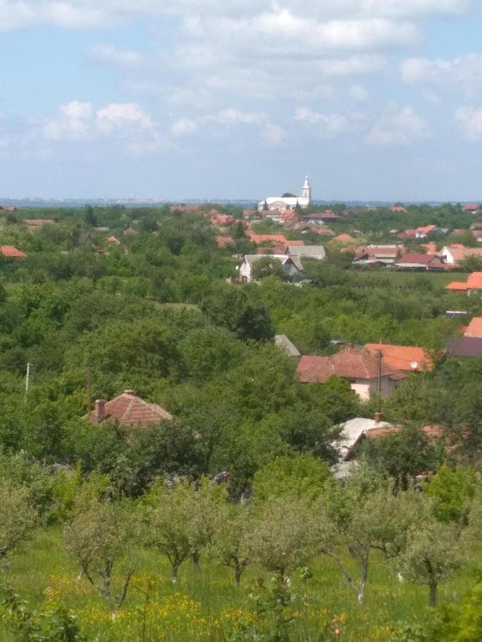 Vis Pension Viile Satu Mare エクステリア 写真