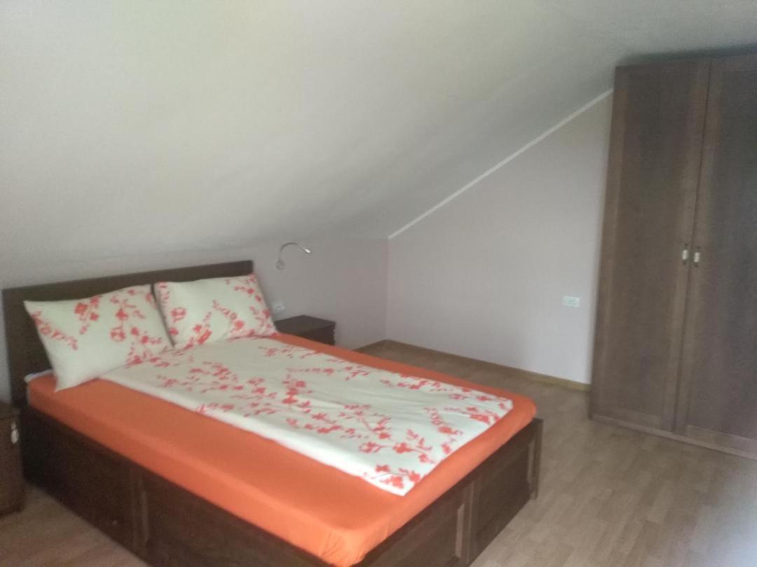 Vis Pension Viile Satu Mare エクステリア 写真