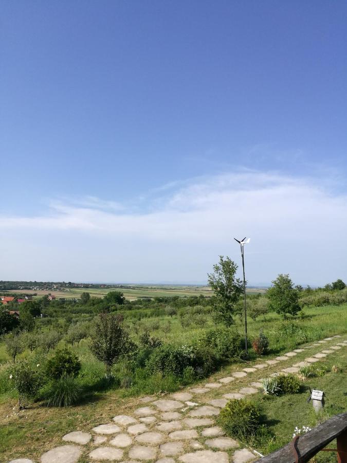 Vis Pension Viile Satu Mare エクステリア 写真