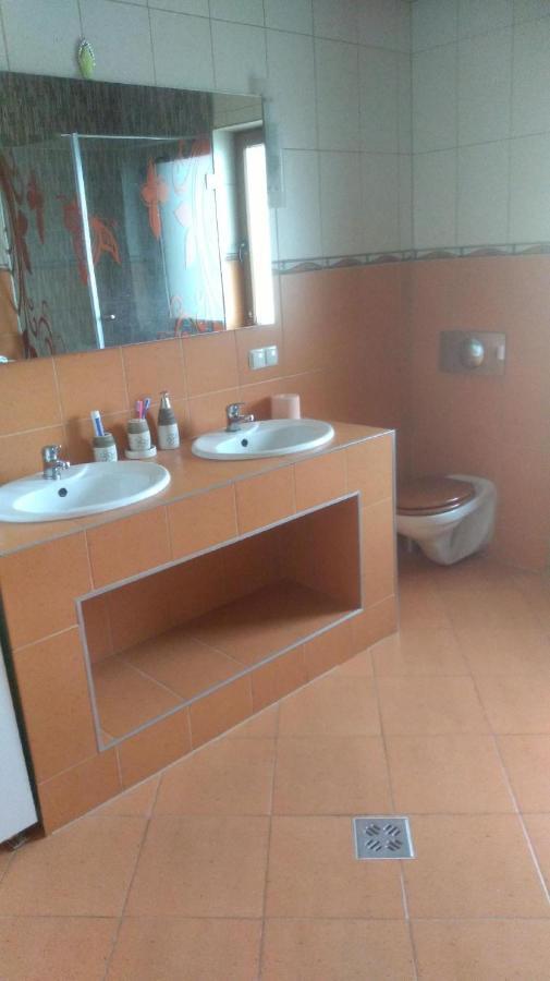 Vis Pension Viile Satu Mare エクステリア 写真