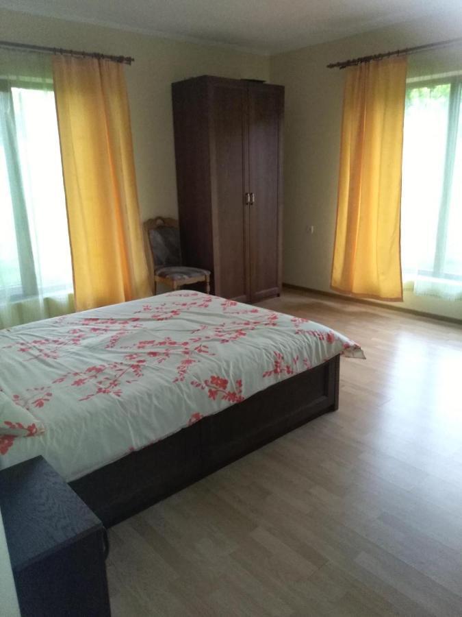 Vis Pension Viile Satu Mare エクステリア 写真
