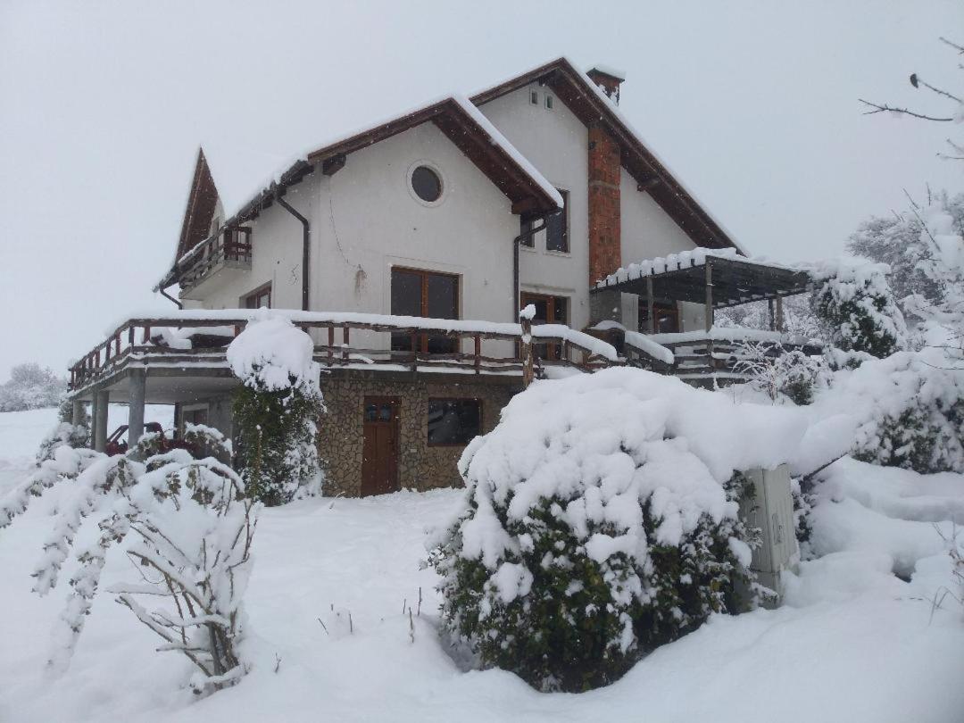 Vis Pension Viile Satu Mare エクステリア 写真