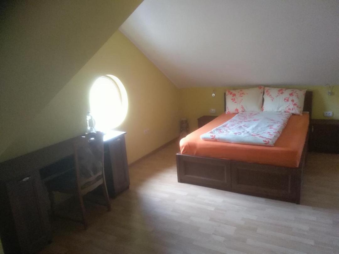 Vis Pension Viile Satu Mare エクステリア 写真