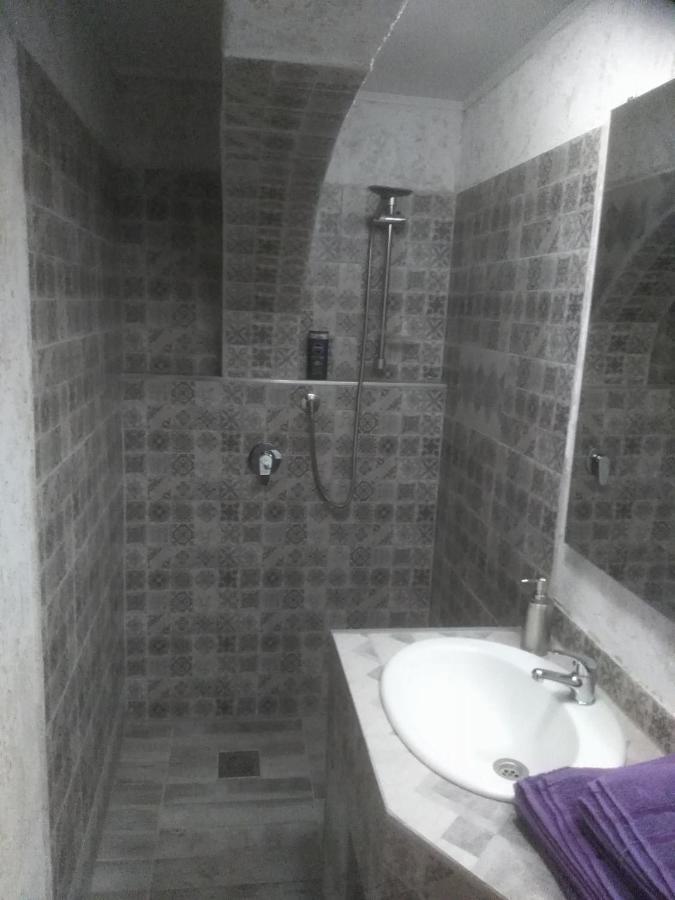 Vis Pension Viile Satu Mare エクステリア 写真