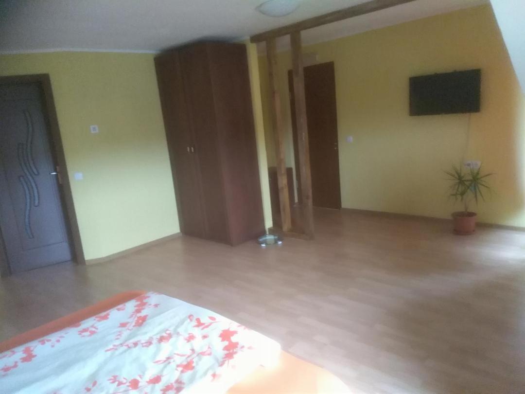 Vis Pension Viile Satu Mare エクステリア 写真