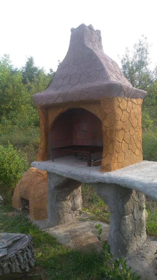 Vis Pension Viile Satu Mare エクステリア 写真