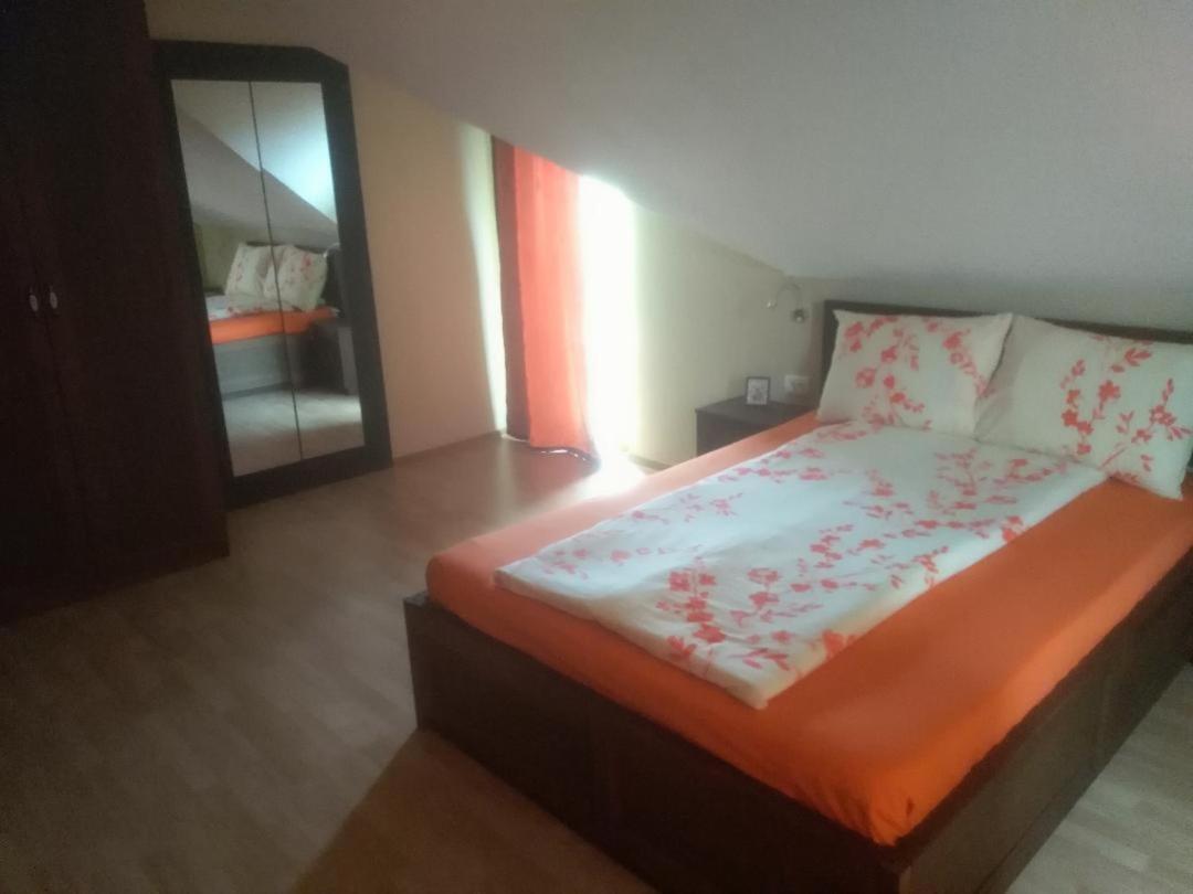 Vis Pension Viile Satu Mare エクステリア 写真