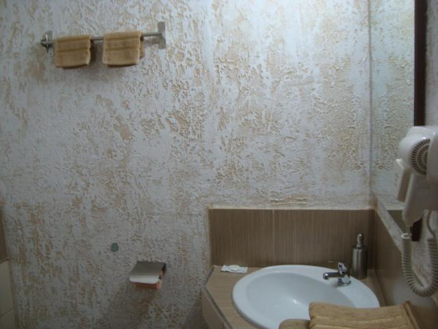 Vis Pension Viile Satu Mare エクステリア 写真