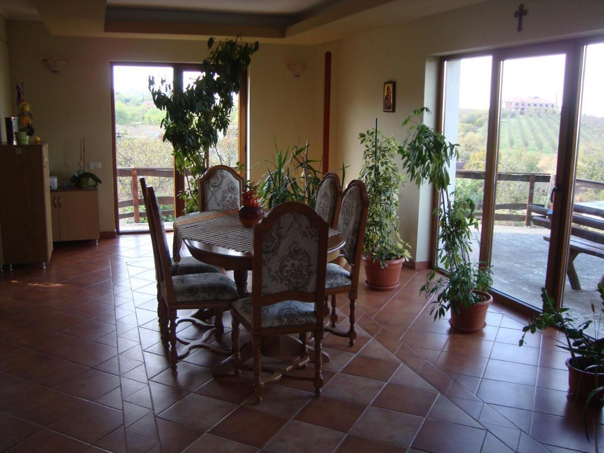 Vis Pension Viile Satu Mare エクステリア 写真