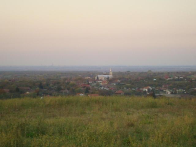 Vis Pension Viile Satu Mare エクステリア 写真
